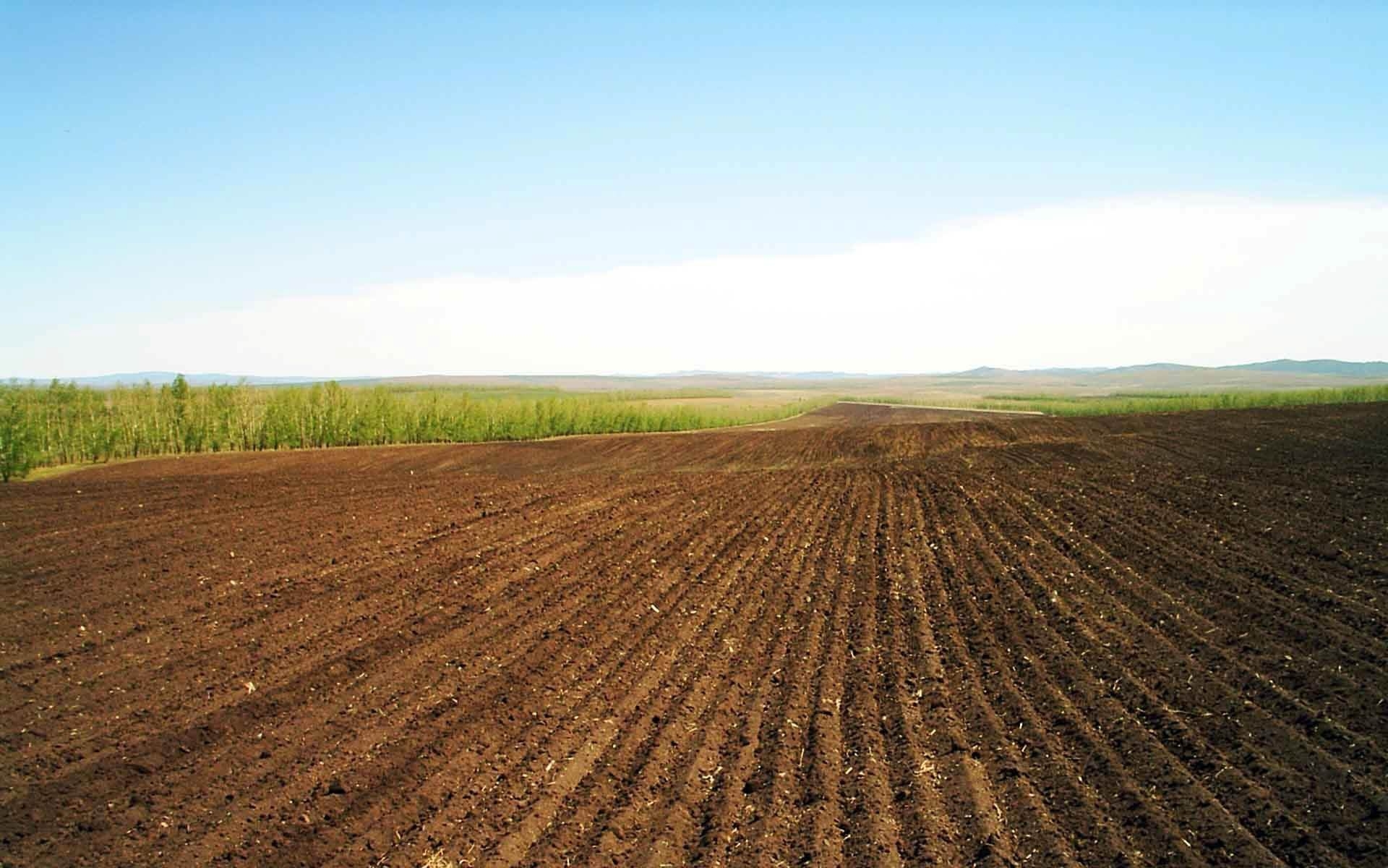 APIA a finalizat controalele în ferme