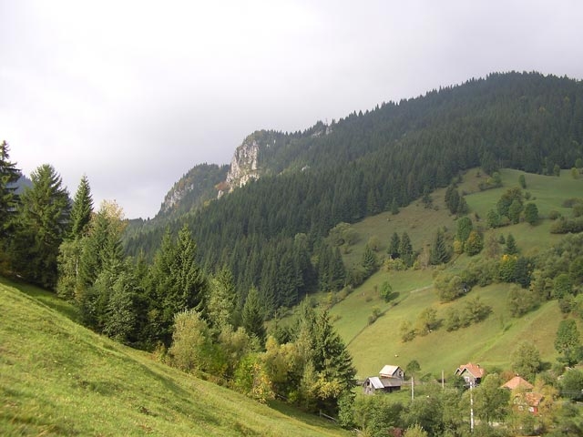 Comuna Moeciu, exemplu de dezvoltare rurală durabilă