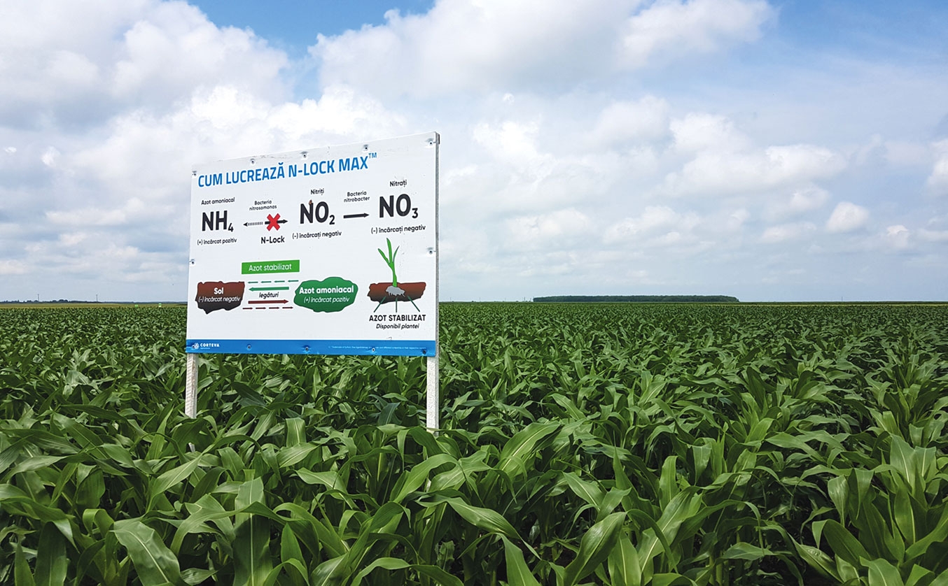 Culturi impecabile cu produse Corteva Agriscience
