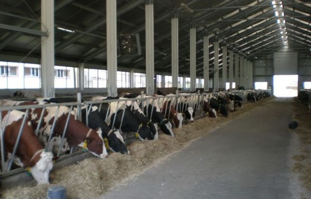 Al 13 lea Simpozion Internațional de Biologie și Nutriție Animală