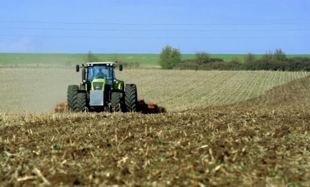 Impresii fugare despre agricultura Turciei