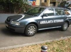 Ambulanţe pentru cabinetele medicilor VETERINARI