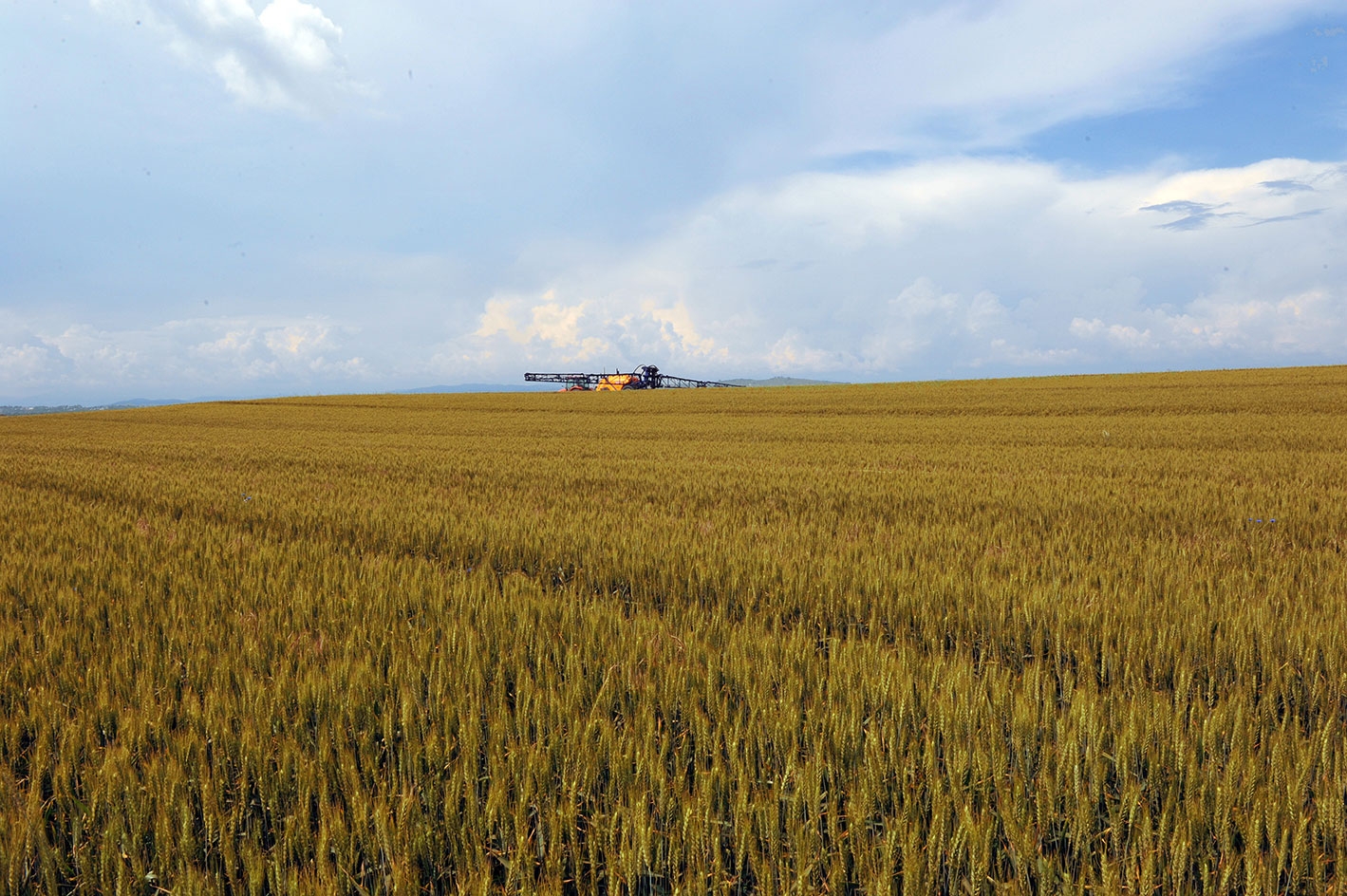 A început efectuarea plăților finale aferente cererilor unice de plată – Campania 2015