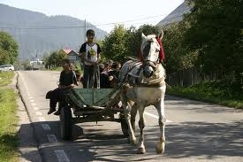 Iniţiativa unui englez, în sprijinul căruţaşilor din Suceava