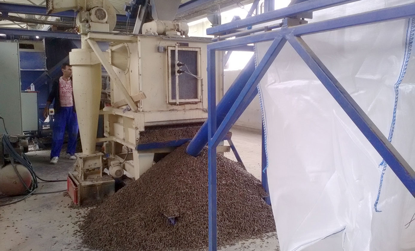 Fabrica de la Petrești, singura care transformă dejecțiile de păsări în peleţi
