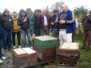 Periplu apicol european