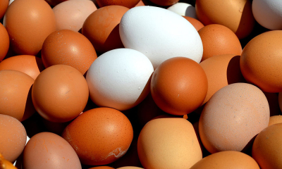 Precizări privind regimul de comercializare a ouălor pentru consum