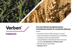 Verben - Un nou STAR în combaterea bolilor la culturile de cereale păioase!
