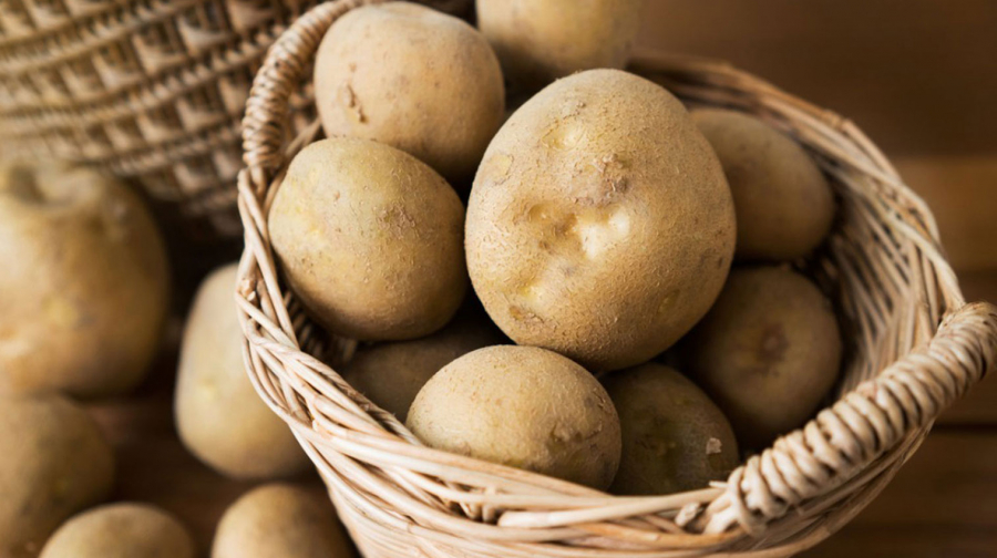 Decizii radicale pentru producția de cartofi din România