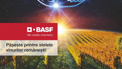 Pe o piață a vinului de peste 406 milioane de euro, BASF România lansează a 7-a ediție a concursului dedicat industriei de profil
