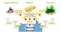 Un proiect Green Energy. Biomasa - o afacere verde