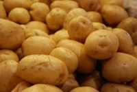 Cartofii din import falimentează producătorii autohtoni
