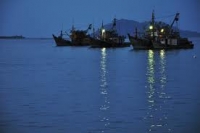 România şi Bulgaria vor avea anul viitor aceleaşi cote de pescuit pentru calcan şi şprot