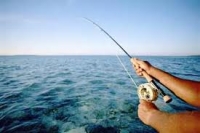Miniştrii europeni ai pescuitului au ajuns la un acord cu privire la cotele pentru 2013