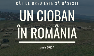 O îndeletnicire pe cale de dispariție. Cât de greu este să găsești un cioban în România anului 2022?
