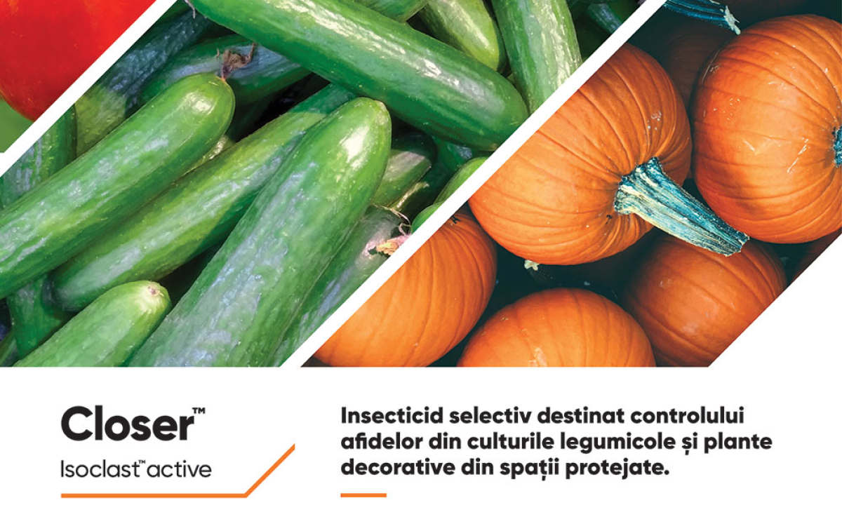 CLOSER™ - Soluția perfectă pentru combaterea afidelor din culturile de legume și a diminuării transmiterii virusurilor la plantele de cultură
