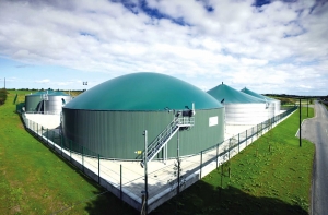 Instalațiile de biogaz, rețeta de a transforma gunoiul în utilități
