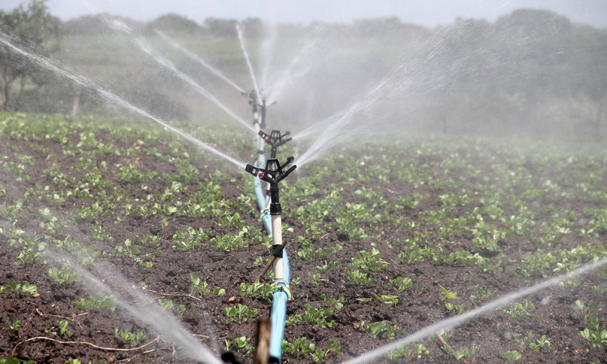 Gestionarea apei pentru plante, preocuparea zero a fiecărui fermier
