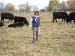 Familia Horvath din Joseni creşte vaci Angus achiziţionate din Ungaria