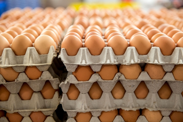 Controale ANSVSA privind ouăle provenite din comerțul intracomunitar