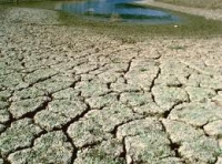 Pierderile suferite de fermieri din cauza secetei nu pot fi compensate din fonduri europene