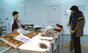 Piața de pește de la Zimnicea, un proiect care contribuie la dezvoltarea zonei
