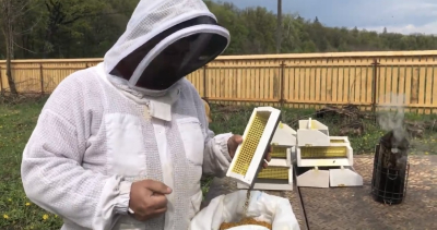 Stupina Apetrei. De trei decenii, apicultor în județul Neamț