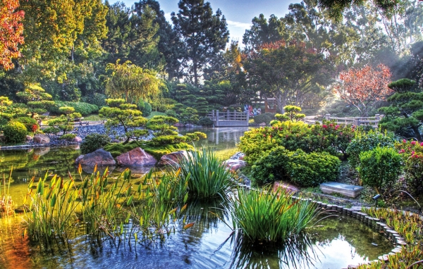 Vegetația grădinii japoneze, sfaturi și sugestii