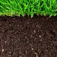 Cum se poate aprecia natura solului și starea de umiditate în câmp?