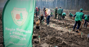 Romsilva a dat startul campaniei de împăduriri de toamnă