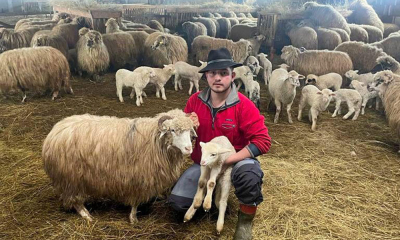 Investiție de 70.000 de euro într-o fermă de ovine din Mărginimea Sibiului