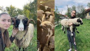 Pasiunea pentru oi, transformată în meserie la 18 ani