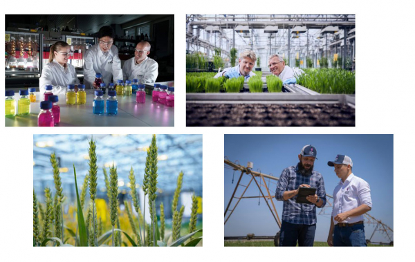 BASF Research 2021: Sustenabilitatea începe cu cercetarea și inovarea
