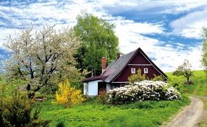 Grădina rustică, relaxare pe stil „vechi“