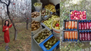 Cristina Cucu – „Deseori fructele se strică în pomi sau în beciuri pentru că nu sunt valorificate“