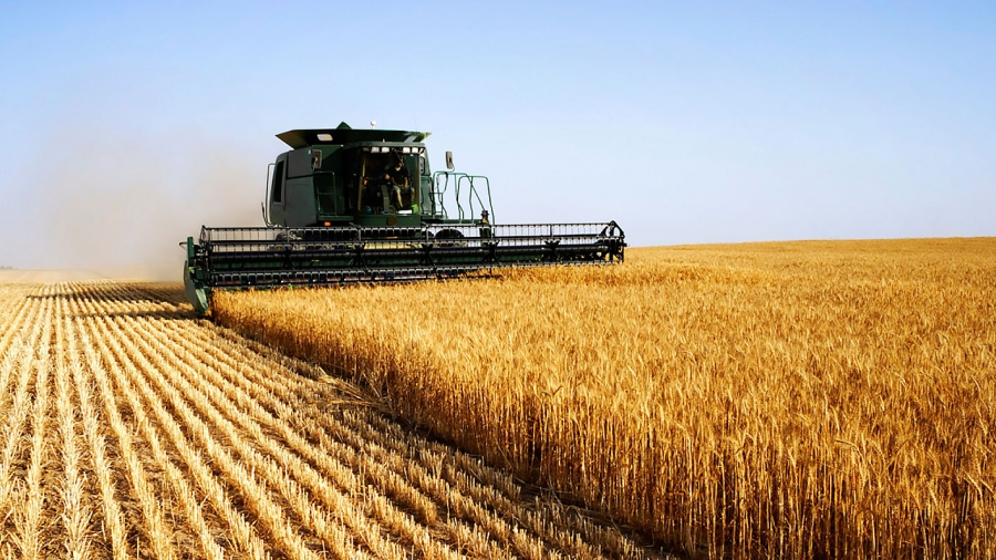 32 de firme din agricultură, în Top 500 cele mai puternice afaceri din România
