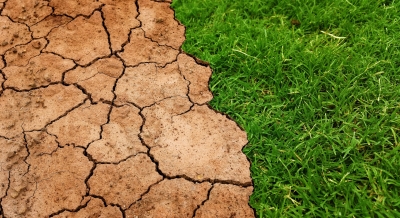 De ce solul trebuie lucrat numai la umiditate optimă?