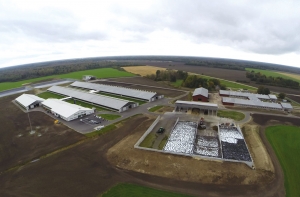 Agricultura prin ochii celui mai mare producător de lapte din Estonia
