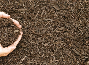 Ce avantaje prezintă mulcirea solului?