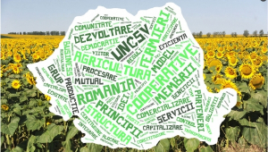 Preocupări și provocări ale cooperativelor agricole din România