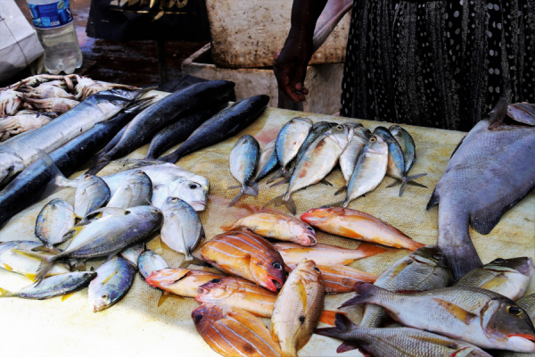 ANSVSA: Controale în industria peștelui și recomandări pentru consumatori