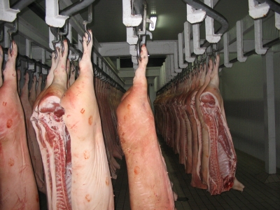 Doar procesatorii de carne de porc din judeţul Suceava au primit avizul CE pentru exportul în spaţiul comunitar