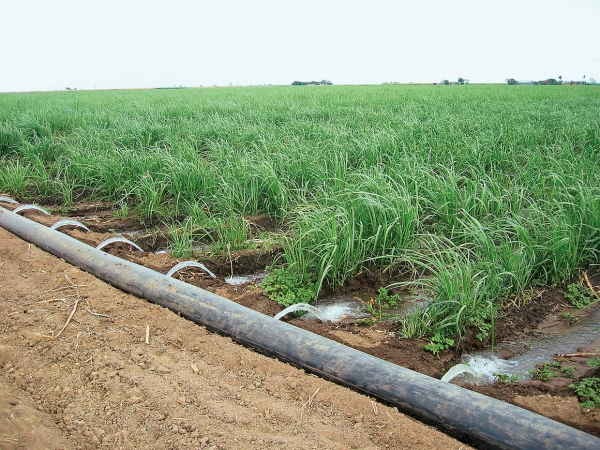 Agricultura Constanței, la pământ cu sistemul de irigații
