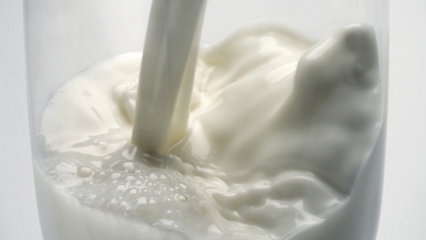 ATENȚIE!!! Specialități din grăsimi hidrogenate, frecvent utilizate în loc de produse din lapte