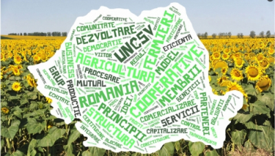 UNCSV: Cooperativele agricole, cea mai bună soluție