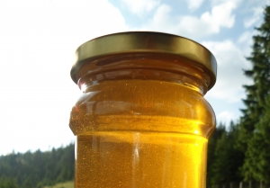 În 2016, mierea de salcâm, sortiment rar și scump