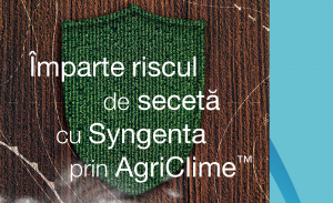 Cu AgriClime™ împarți riscul de secetă cu Syngenta!