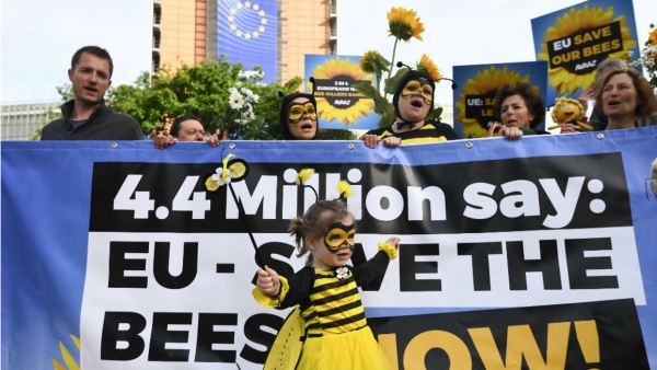 Ofensivă europeană pentru salvarea albinelor și a altor polenizatori
