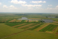 LAPAR a cerut ministrului Agriculturii soluţii adecvate care să sprijine cumpărarea terenurilor agricole de către români