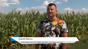 Daniel Marcu, partenerul nostru din Dolj, despre recomandările tehnice primite de la specialiștii Agricover